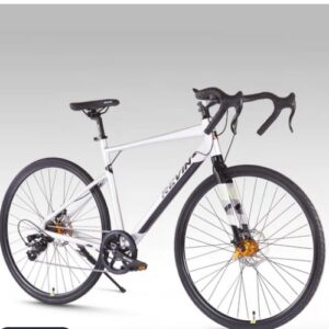 roadie with carbon fork